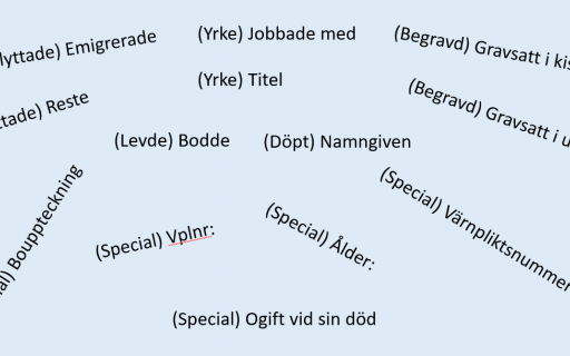 Disgen handledning - Hantering av notisnamn
