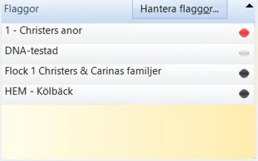 Disgen handledning -I flaggpanelen finns visas fyra flaggor.