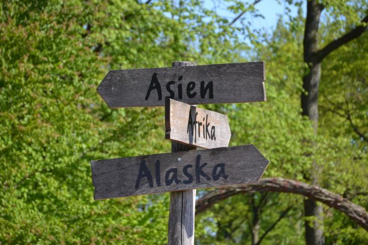 Disgen handledning - orter övergripande