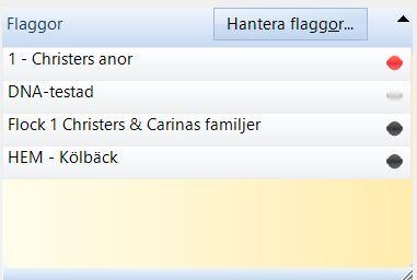 Disgen handledning -I flaggpanelen finns visas fyra flaggor.