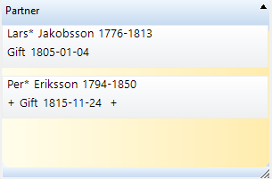 Disgen handledning - Panelen Partner visar två partner och när giftermålet var